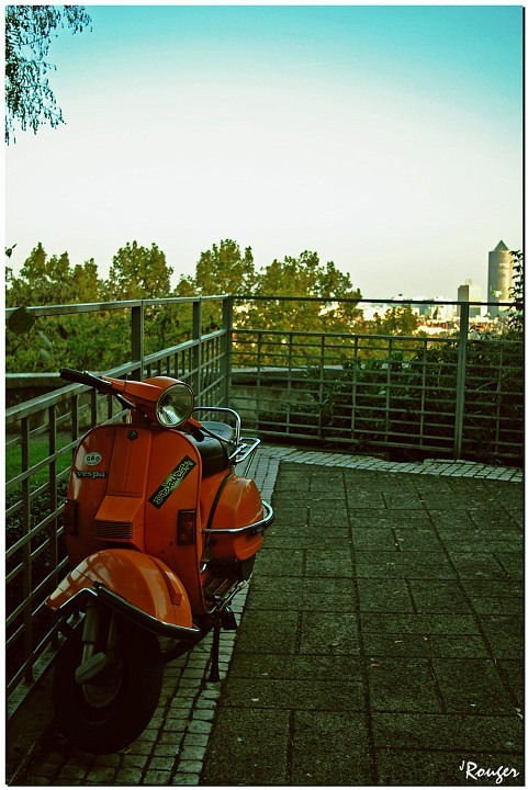 IMGP1184 copie2.jpg - Vespa grolandais (La Part Dieu)
